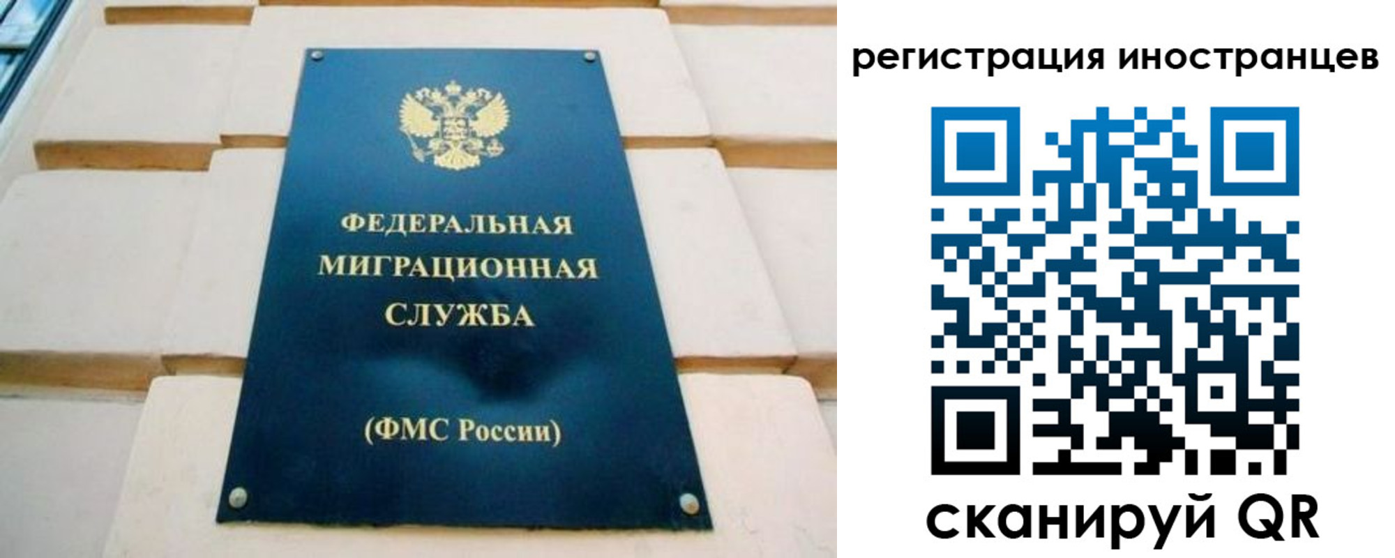 форма 3 в Ленинградской области